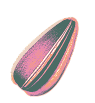 seed